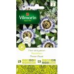 Graines de fleurs Vilmorin 