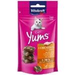 Vitakraft Cat Yums Poulet et Herbe Collation 40g