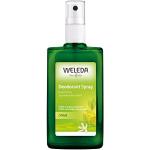 Déodorants spray Weleda Citrus bio naturels vegan au citron 100 ml avec flacon vaporisateur en promo 