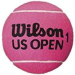 Balles de tennis Wilson US Open roses Tournois du Grand Chelem US Open 