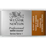 Aquarelle Winsor & Newton marron 