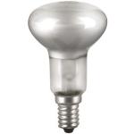 Xavax 00110505 Lampe (E14 1000h Blanc Chaud 9w 230 Volt 50 Hz) Blanc
