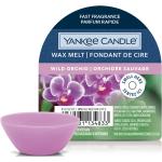 Yankee Candle Wild Orchid Wax Melt Single Bougie parfumée 22 g